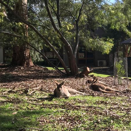 The Lodges Halls Gap Bagian luar foto
